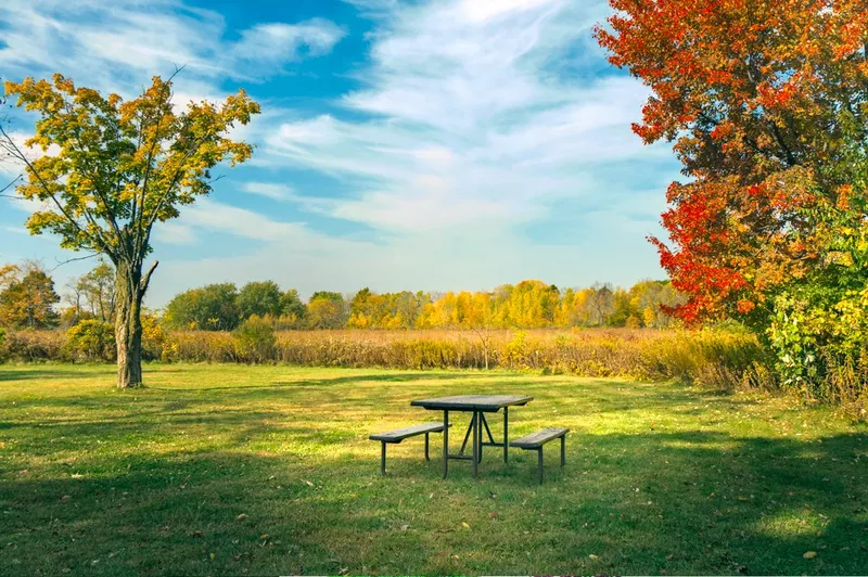 final image of field with table